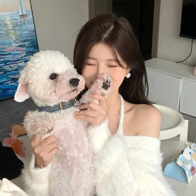 公私三文治粤语